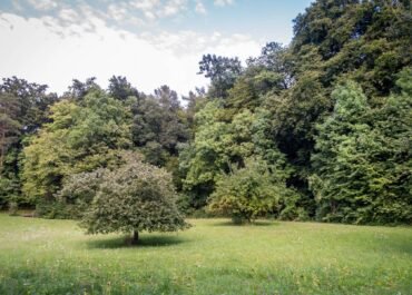 Baugrundstück für eine Doppelhaushälfte in Stolzenhagen