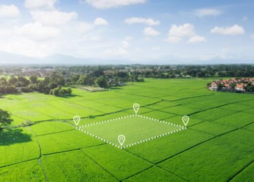 Bauerwartungsland: Die wichtigsten Infos